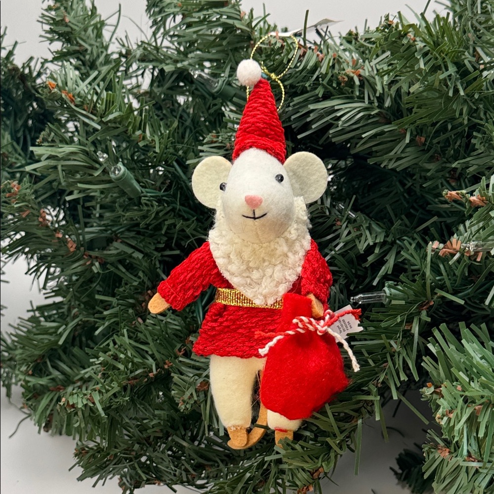 NWT Wondershop Felt Ornament